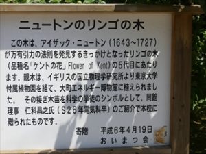 P1000089_R